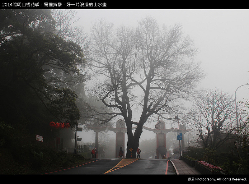 遊記 台北 2014陽明山櫻花季 霧裡賞櫻 好一片浪漫的山水畫 陽明公園 第二停車場 遊客服務中心 撰風旅食